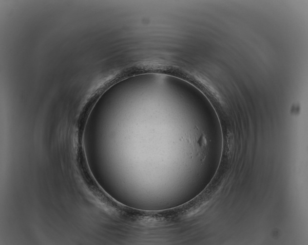 X0000094770494200711241320