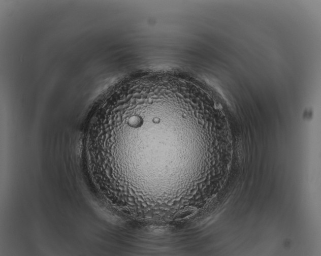 X0000094770495200711241320