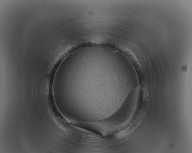 X0000094770496200711241320