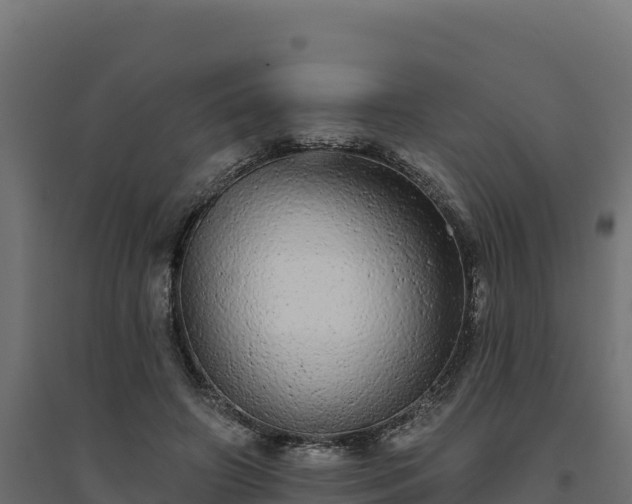 X0000094770498200711241320