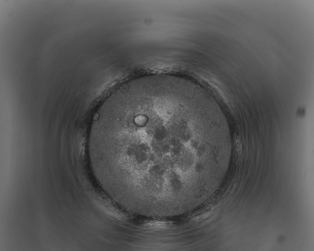 X0000094770499200711241320