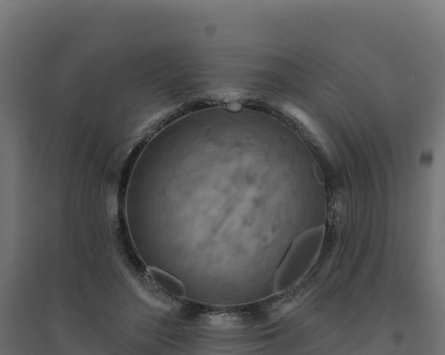 X0000094770500200711241320