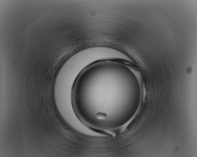 X0000094770501200711241320