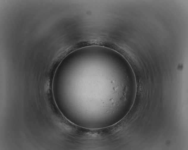 X0000094770502200711241320