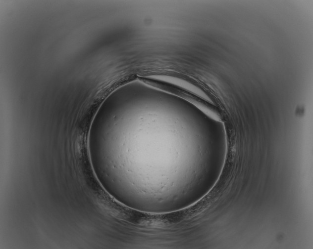 X0000094770503200711241320