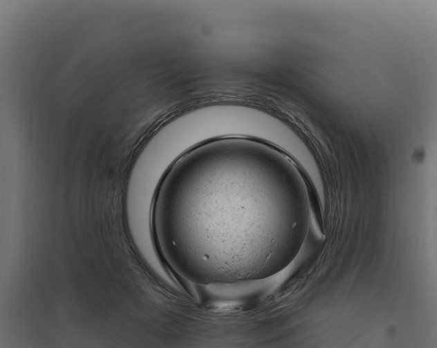 X0000094770505200711241320