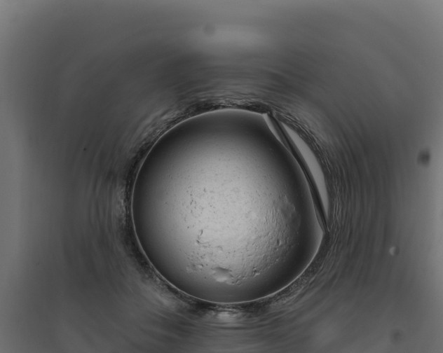 X0000094770506200711241320