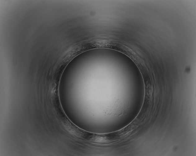 X0000094770507200711241320