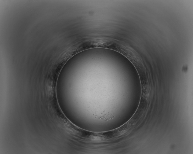 X0000094770510200711241320