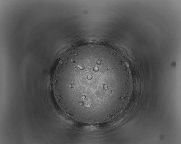 X0000094770511200711241320