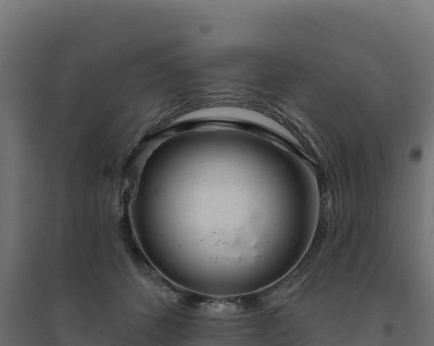 X0000094770512200711241320