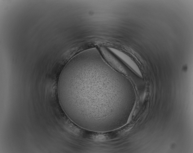 X0000094770513200711241320