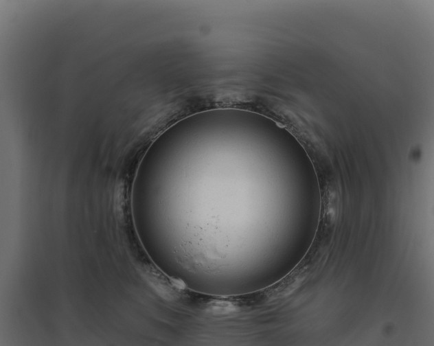 X0000094770519200711241319