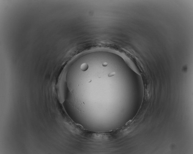 X0000094770520200711241319