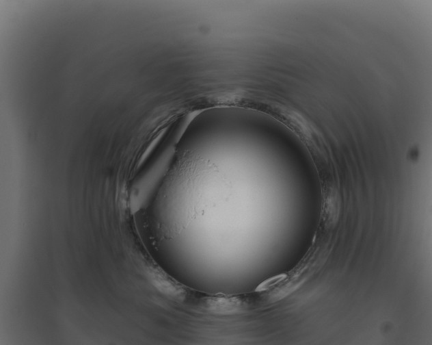 X0000094770525200711241319