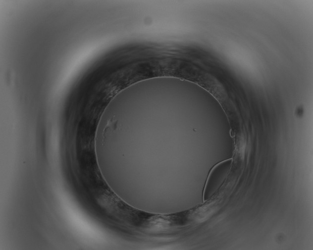 X0000094770526200711241319