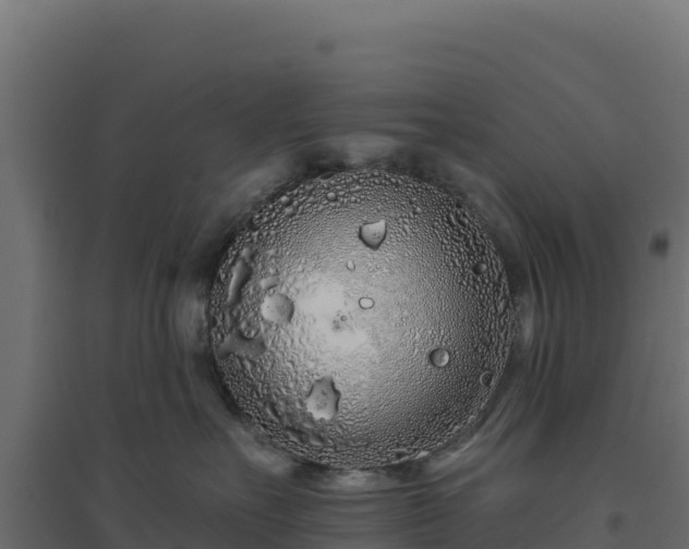 X0000094770527200711241319