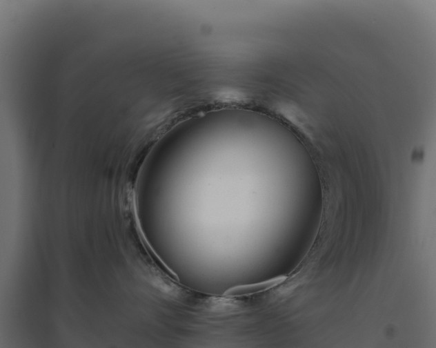 X0000094770528200711241319