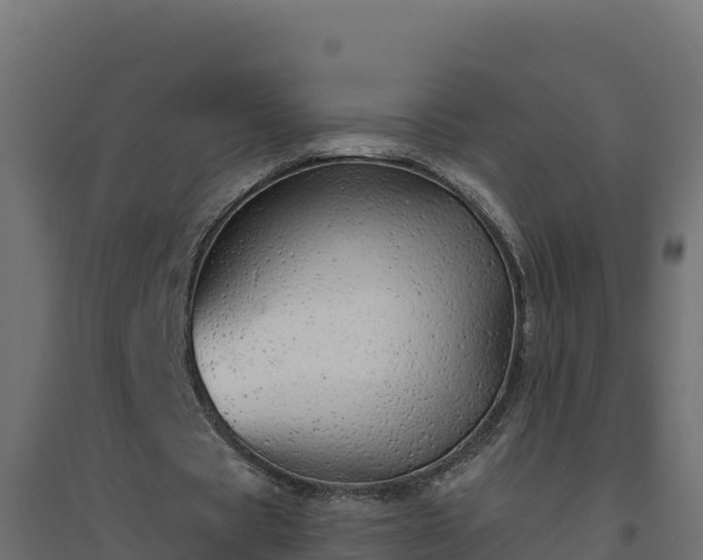 X0000094770529200711241319