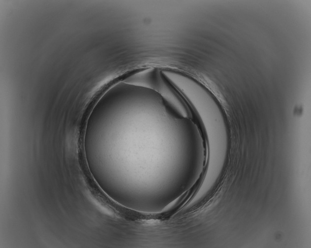 X0000094770530200711241319