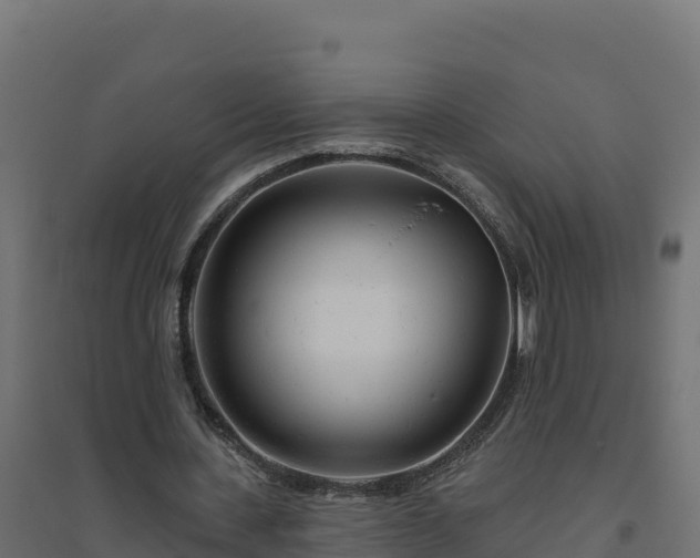 X0000094770531200711241319