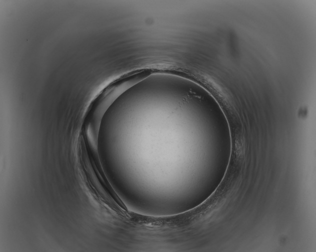 X0000094770532200711241319