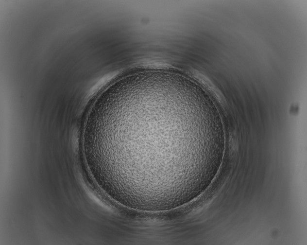 X0000094770533200711241319