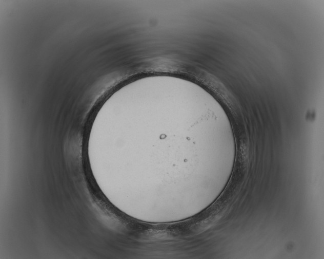 X0000094770534200711241319