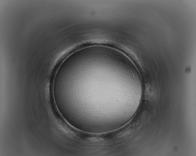 X0000094770535200711241319