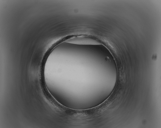 X0000094770536200711241319