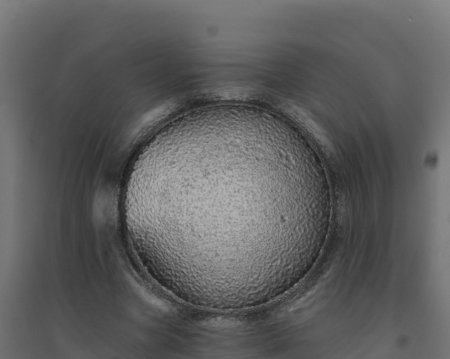 X0000094770537200711241319