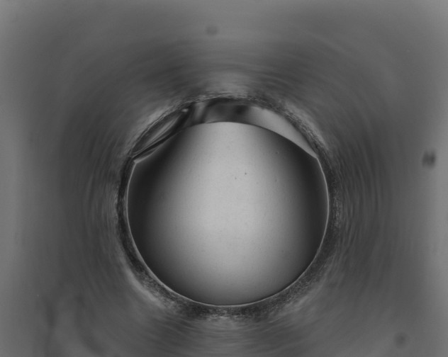 X0000094770538200711241319