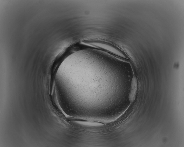 X0000094770539200711241319