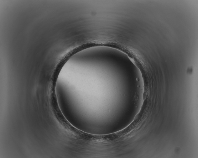 X0000094770540200711241319