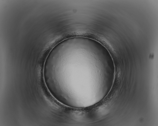 X0000094770542200711241319