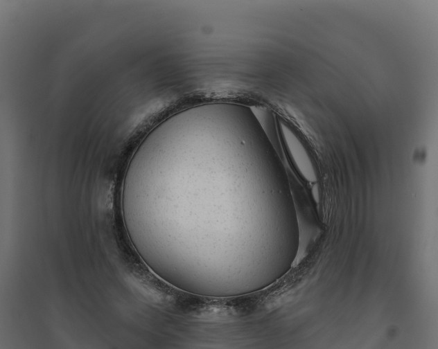 X0000094770543200711241319