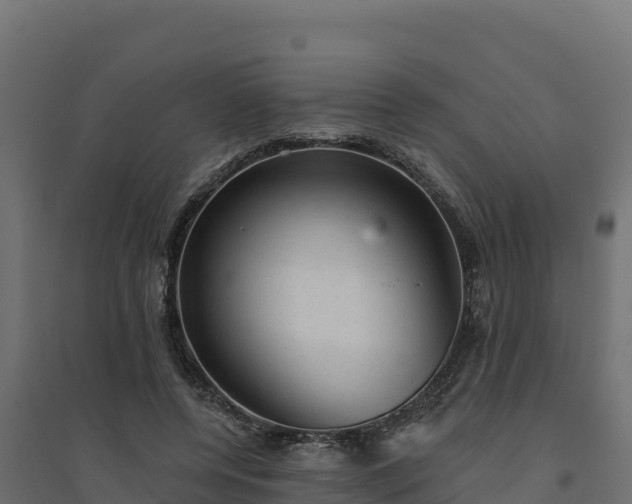 X0000094770544200711241319