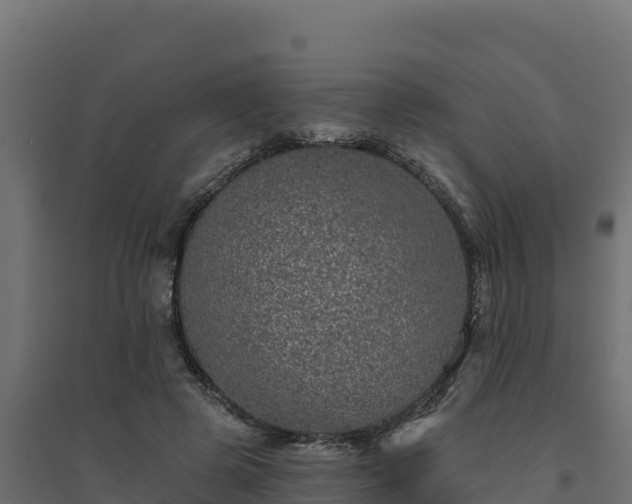 X0000094770545200711241319