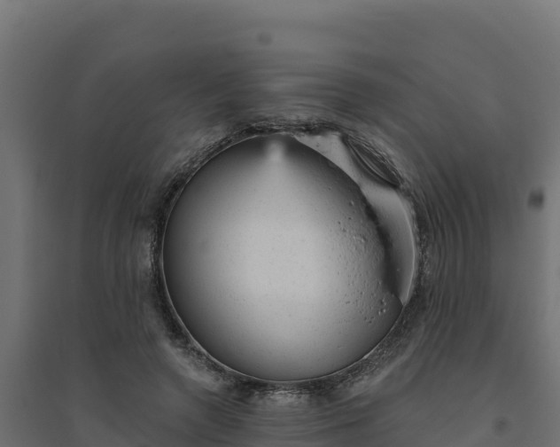 X0000094770546200711241319