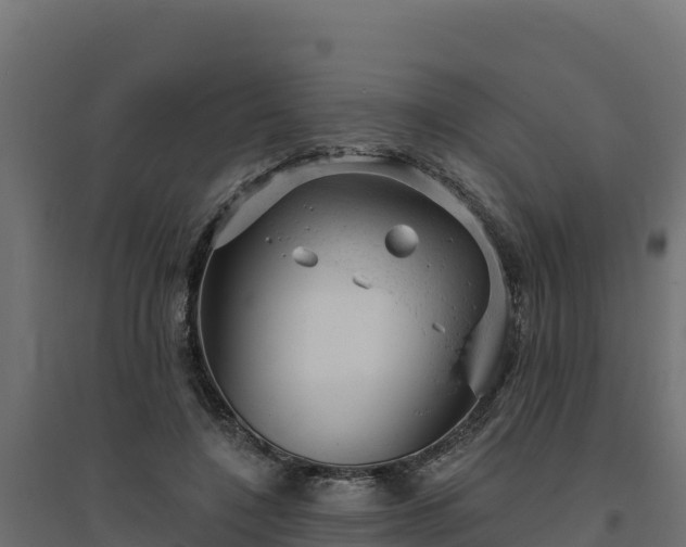 X0000094770548200711241319