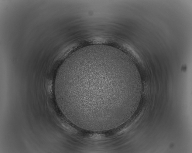 X0000094770549200711241319