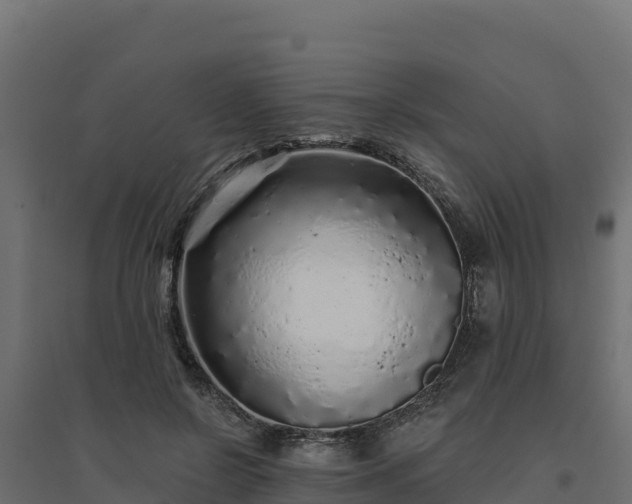 X0000094770550200711241319