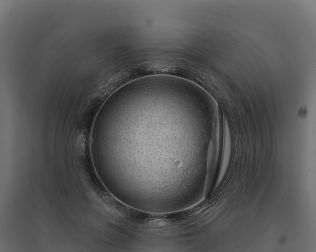 X0000094770551200711241319