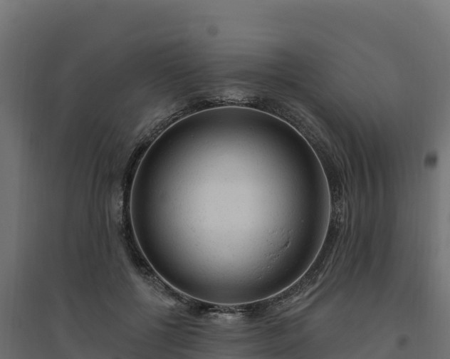 X0000094770552200711241319