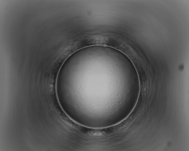 X0000094770553200711241319