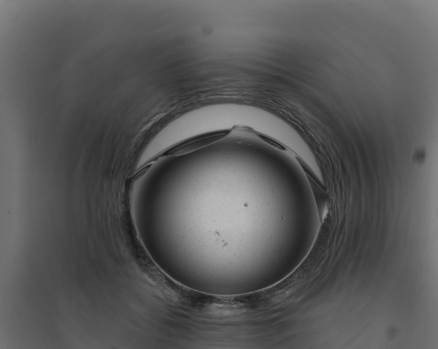 X0000094770556200711241319