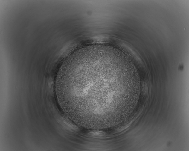 X0000094770557200711241319