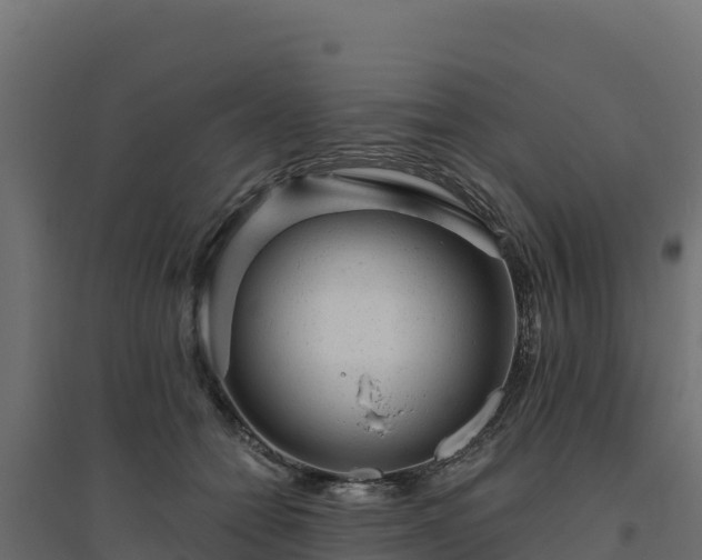 X0000094770558200711241319