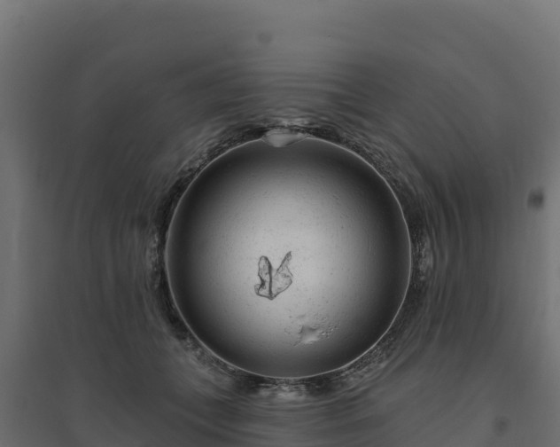 X0000094770559200711241319