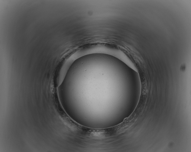 X0000094770560200711241319